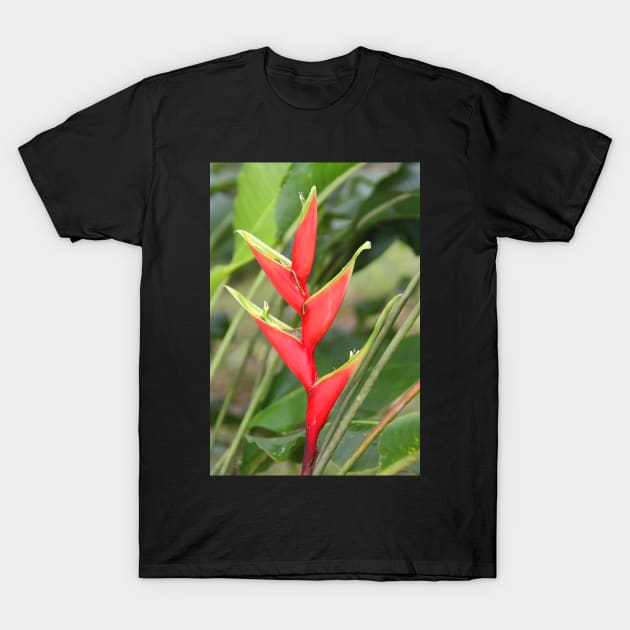 An Exotic Heliconia T-Shirt by Carole-Anne